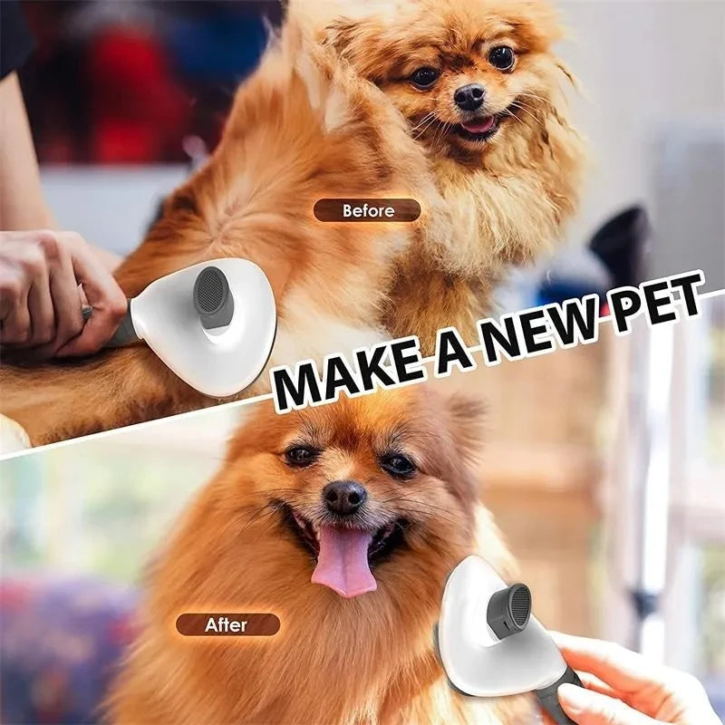 Dog Brush