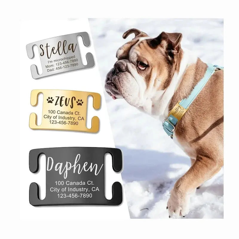 PetLink Identity