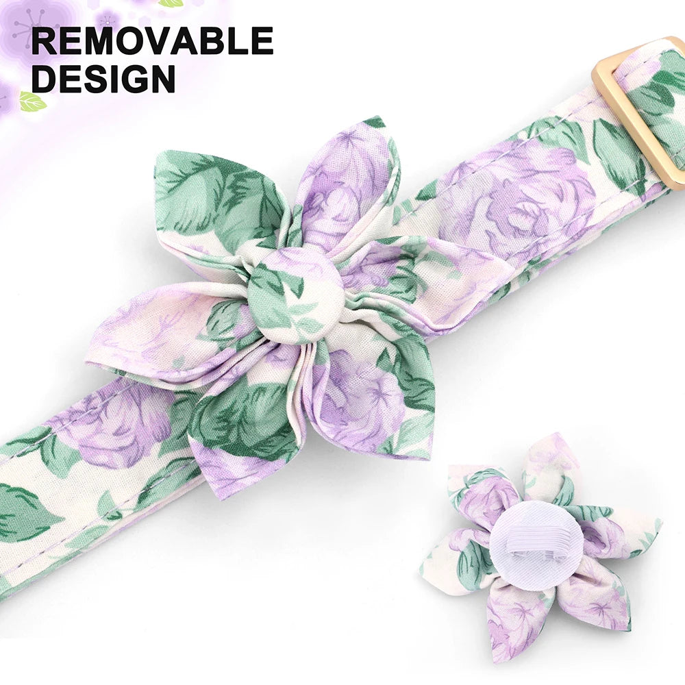 Custom Nylon Dog Collar