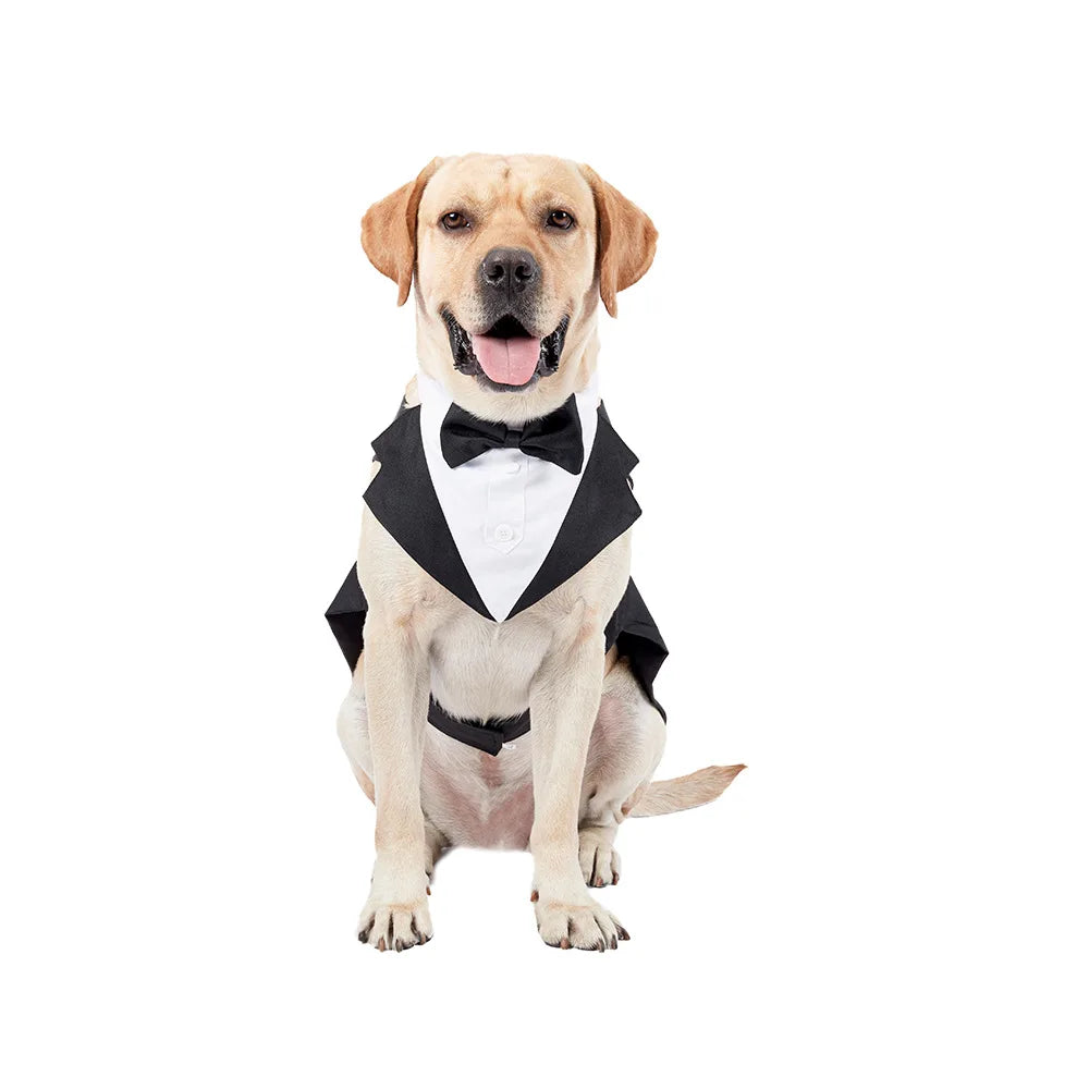 Formal Suit Tie Bow Shirt