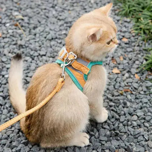 Adjustable Cat Harness With Leash Set Reflective Vest Pet Harnesses CobraDobra