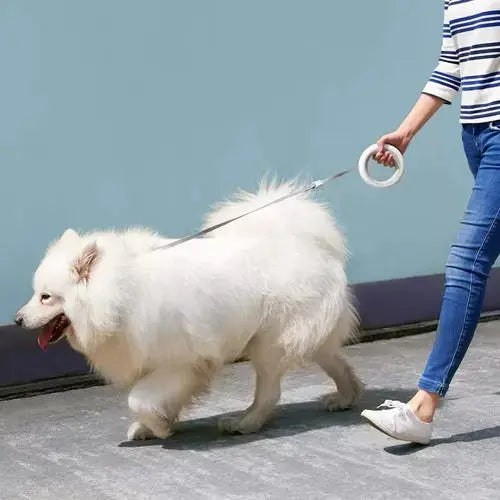 LED-Lit Dog Leash CobraDobra